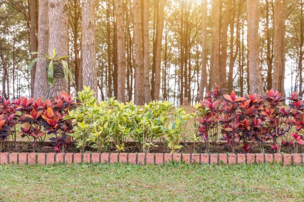 Small Garden Landscaping in Cherry Hill