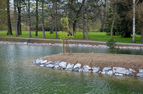 Pond Landscaping Service in Cherry Hill