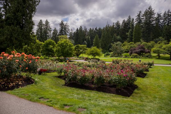Flower Garden Landscaping in Cherry Hill