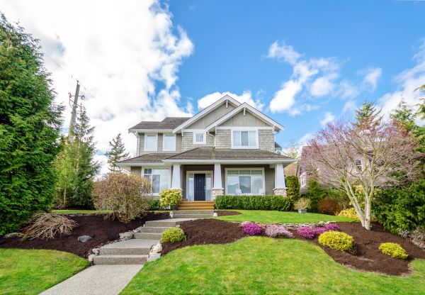 Landscaping Replacement in Cherry Hill