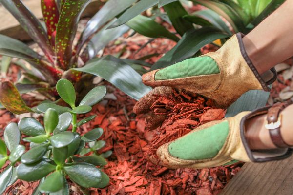 Residential Mulching in Cherry Hill