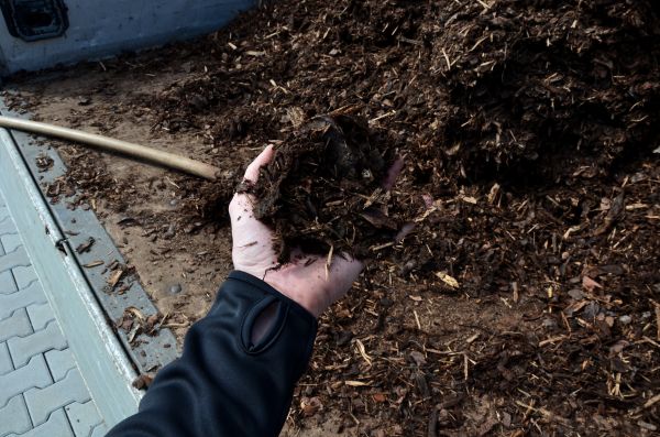 Condo Mulching in Cherry Hill
