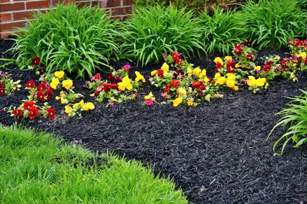 Apartment Mulching in Cherry Hill